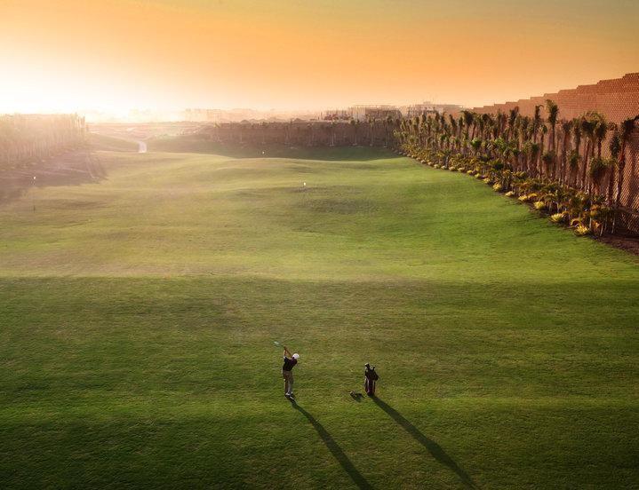 Allegria Compound Sodic